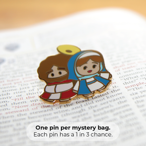 Mystery Pin Bag